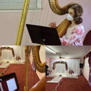Atlanta Harpist Performs At Socially Distant Wedding