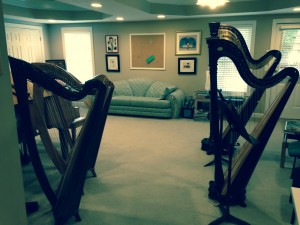 Harp lessons by Atlanta Harpist Lisa Handman
