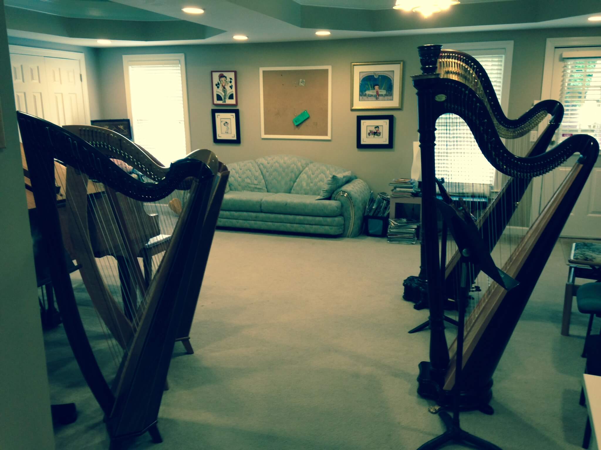 Harp Lessons And Rentals by Atlanta Harpist