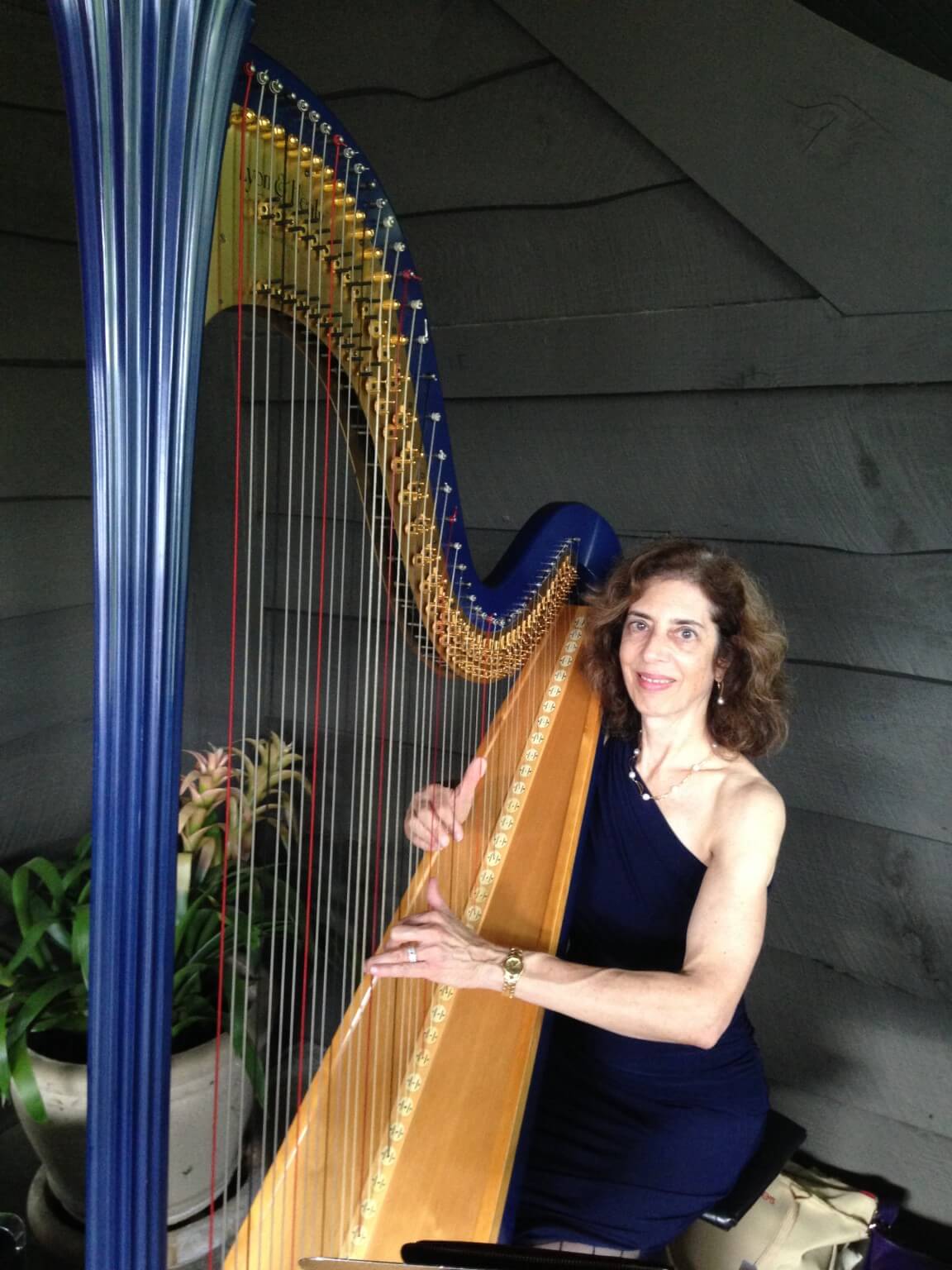Atlanta Harpist Lisa Handman