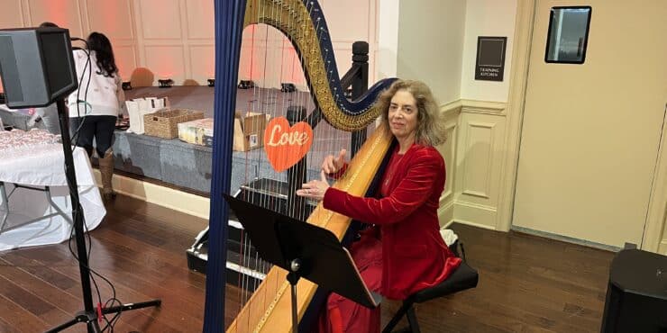Valentines Day Harp Performance - Gainesville, GA